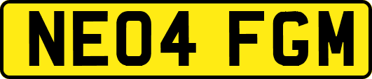 NE04FGM