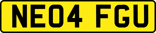 NE04FGU