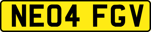 NE04FGV