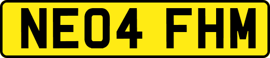 NE04FHM
