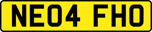 NE04FHO