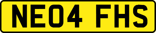 NE04FHS