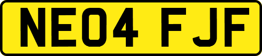 NE04FJF