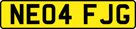 NE04FJG