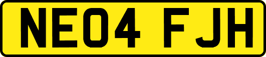 NE04FJH