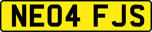 NE04FJS