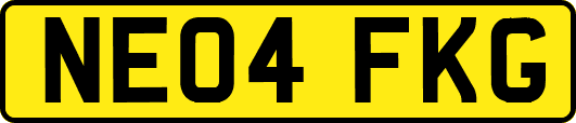 NE04FKG