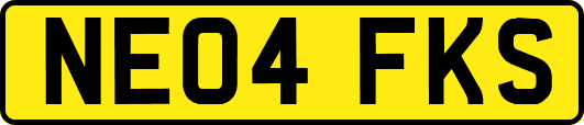 NE04FKS