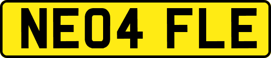 NE04FLE