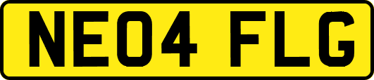 NE04FLG