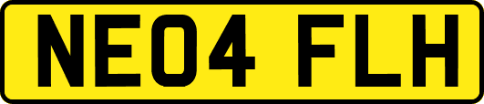 NE04FLH