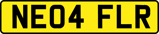 NE04FLR