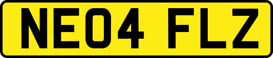 NE04FLZ
