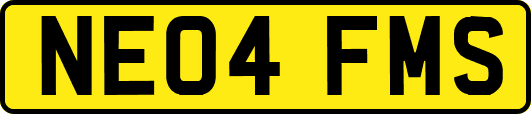NE04FMS