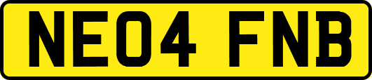 NE04FNB