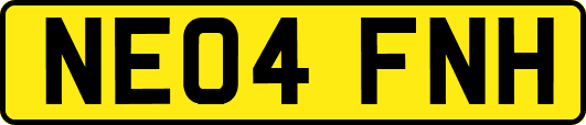 NE04FNH