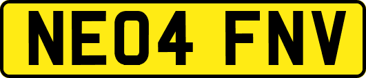 NE04FNV