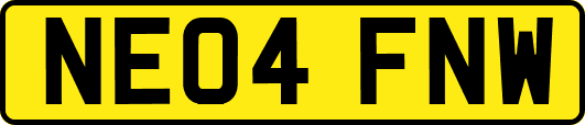 NE04FNW
