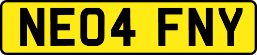 NE04FNY