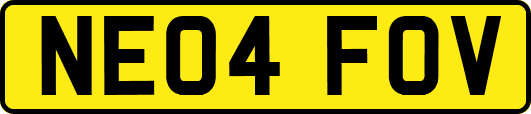 NE04FOV