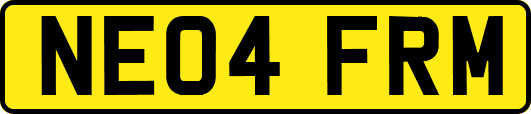 NE04FRM