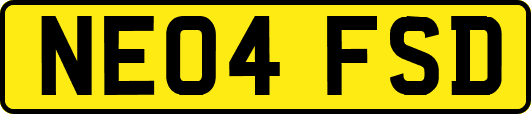 NE04FSD