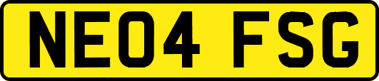 NE04FSG