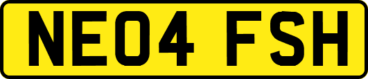 NE04FSH
