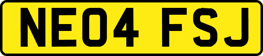 NE04FSJ