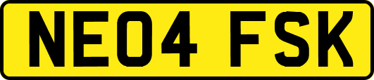 NE04FSK