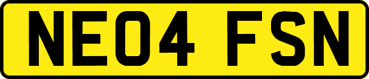 NE04FSN
