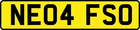 NE04FSO