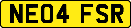 NE04FSR