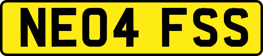 NE04FSS