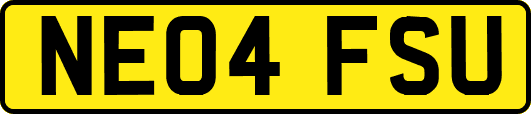 NE04FSU