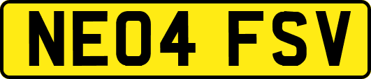 NE04FSV