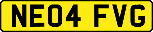 NE04FVG