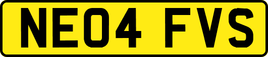 NE04FVS