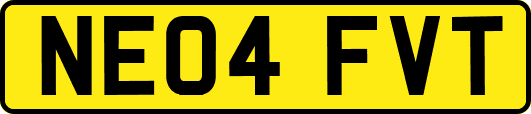 NE04FVT