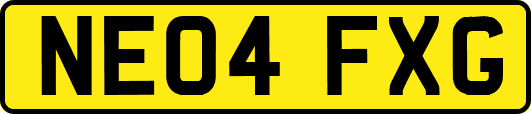 NE04FXG