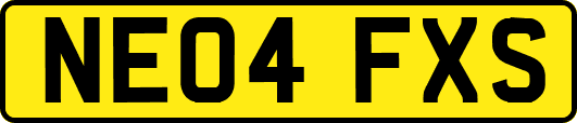 NE04FXS