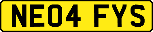 NE04FYS
