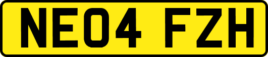NE04FZH
