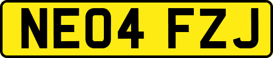 NE04FZJ