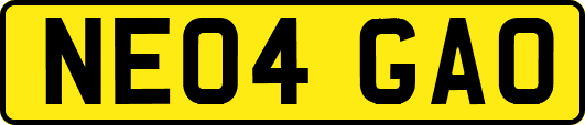 NE04GAO