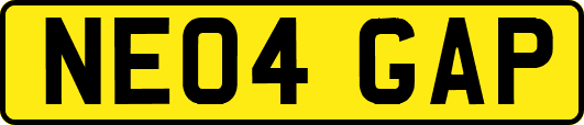 NE04GAP