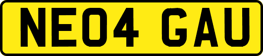 NE04GAU