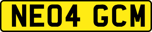 NE04GCM