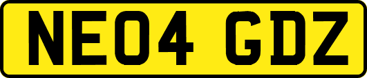 NE04GDZ