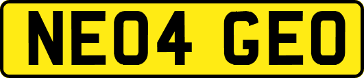 NE04GEO